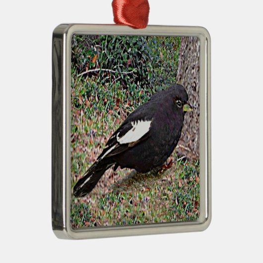 Lark Bunting (Colorado) Metalen Ornament (Rechts)