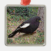 Lark Bunting (Colorado) Metalen Ornament (Voorkant)