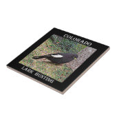 Lark Bunting (Colorado) Tegeltje (Zijkant)