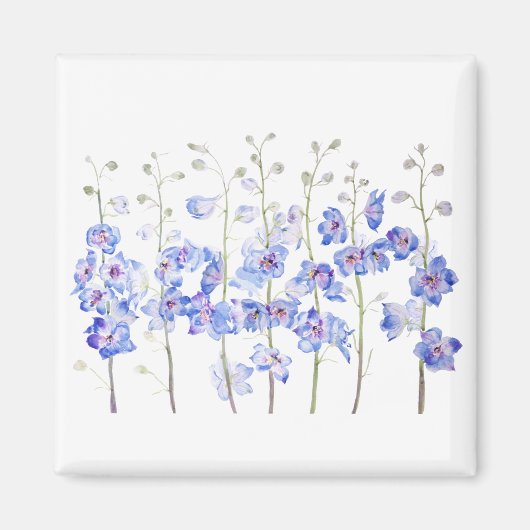 larkspin magneet (Voorkant)