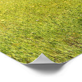 Larkspur Field, hek Poster (Hoek)