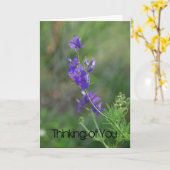 Larkspur voelt zich beter kaart (Gele Bloem)