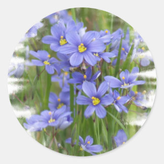 Larkspurs Ronde Sticker