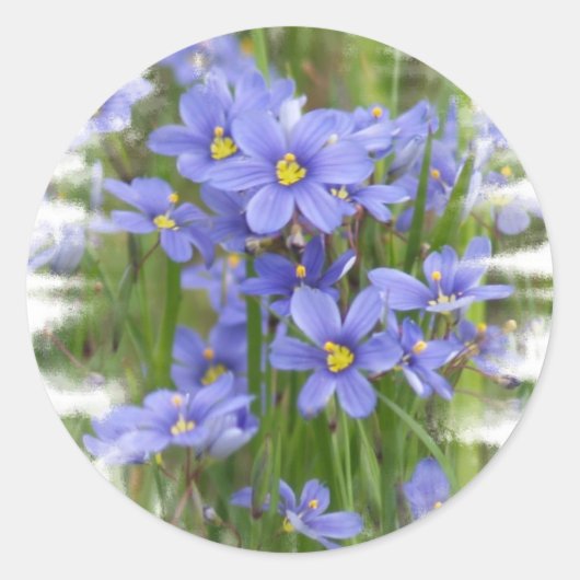 Larkspurs Ronde Sticker (Voorkant)
