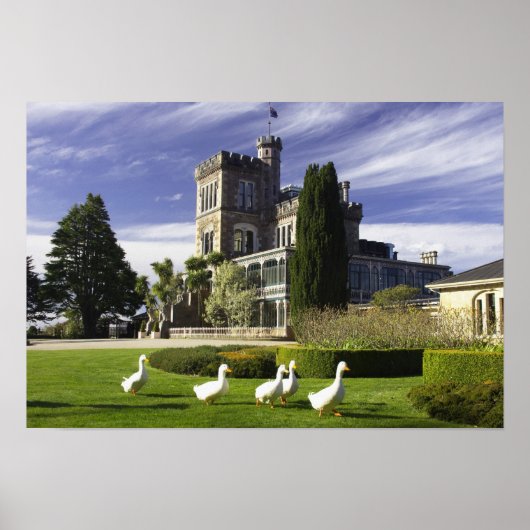 Larnach Castle, Otago Peninsula, Dunedin, Poster (Voorkant)