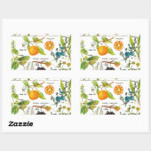 Larousse Fruit Sinaasappel Peer Druif Tuin Natuur  Rechthoekige Sticker (Vel)