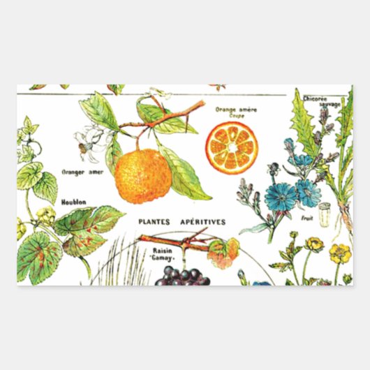 Larousse Fruit Sinaasappel Peer Druif Tuin Natuur  Rechthoekige Sticker (Voorkant)