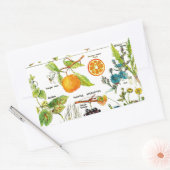 Larousse Fruit Sinaasappel Peer Druif Tuin Natuur  Rechthoekige Sticker (Envelop)