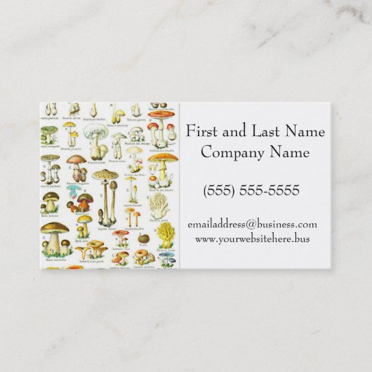 Larousse Paddestoel Schimmel Natuur Kunst Schilder Visitekaartje (Voorkant)