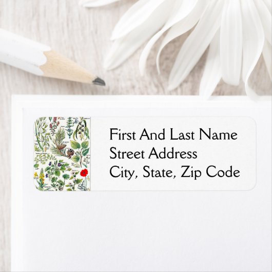 Larousse Pine Cone Tree Forest Natuur Art Etiket (Insitu)