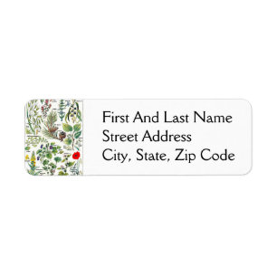 Larousse Pine Cone Tree Forest Natuur Art Etiket