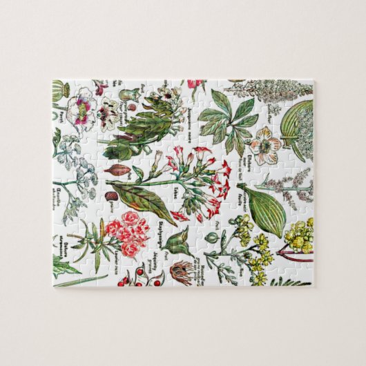Larousse Planten, fruit, bloementuin Natuur kunst Legpuzzel (Horizontaal)