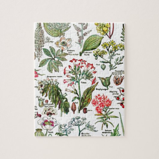 Larousse Planten, fruit, bloementuin Natuur kunst Legpuzzel (Verticaal)