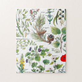 Larousse Planten kalmantes, emollientes, pectorale Legpuzzel