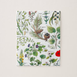 Larousse Planten kalmantes, emollientes, pectorale Legpuzzel