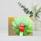 L'arrivée de la proie briefkaart (Staand voorkant)