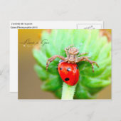 L'arrivée de la proie briefkaart (Voorkant / Achterkant)