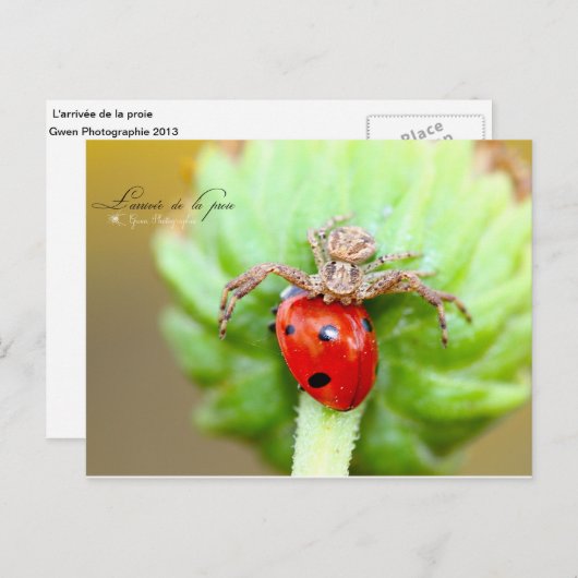 L'arrivée de la proie briefkaart (Voorkant / Achterkant)