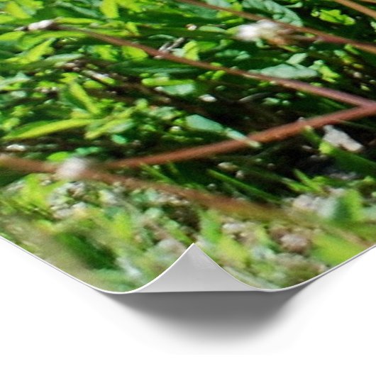 Larry Fiero Poster (Hoek)