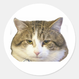 Larry the Downing Street Cat Face Ronde Sticker