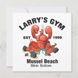 Larry's Gym Bij Mosselstrand