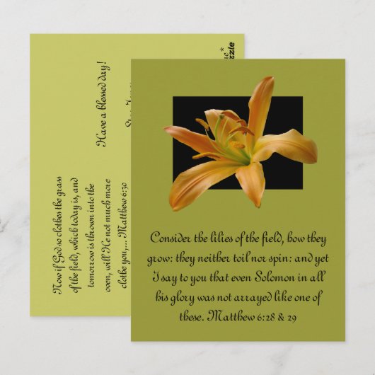 Larry's Sinaasappel Lily Briefkaart (Voorkant / Achterkant)