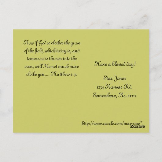 Larry's Sinaasappel Lily Briefkaart (Achterkant)