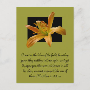 Larry's Sinaasappel Lily Briefkaart