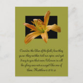 Larry's Sinaasappel Lily Briefkaart (Voorkant)