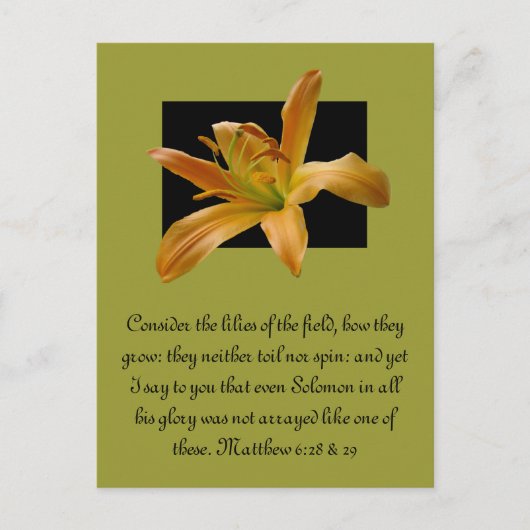 Larry's Sinaasappel Lily Briefkaart (Voorkant)