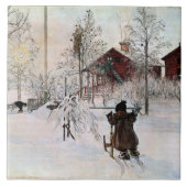 Larsson: Kunstwerk in de tuin en het washuis Tegeltje (Voorkant)