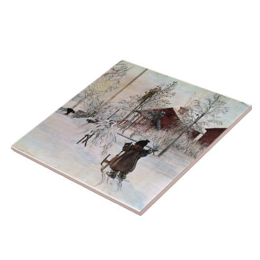 Larsson: Kunstwerk in de tuin en het washuis Tegeltje (Zijkant)