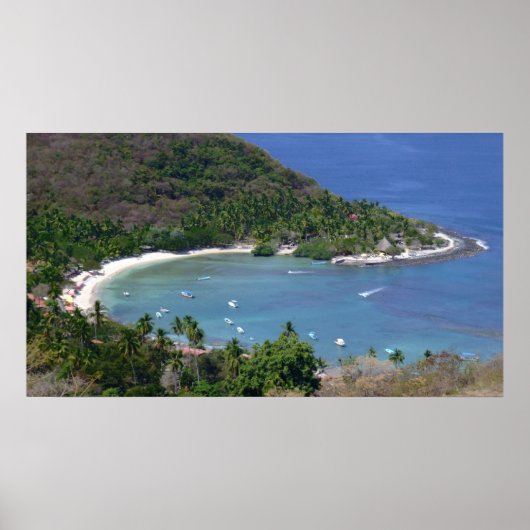 LAS GATAS POSTER (Voorkant)