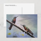Las Gemas Ansichtkaart Briefkaart (Voorkant / Achterkant)