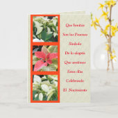 Las Pascuas son simbolo de alegria en la Navidad Kaart (Gele Bloem)