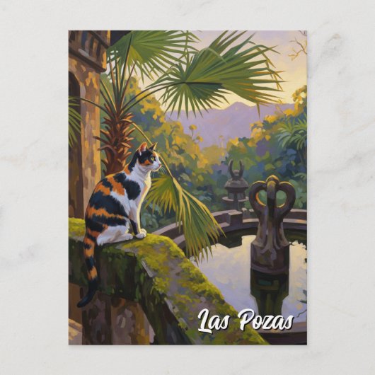 Las Pozas Mexico Reizen Briefkaart (Voorkant)