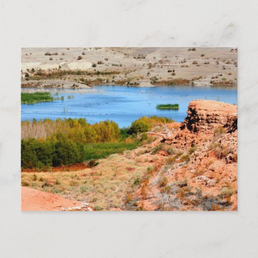 Las Vegas Bay, Lake Mead, Nevada  Briefkaart (Voorkant)