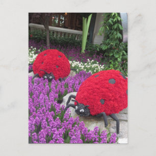 Las Vegas Butterfly Garden Flower Ladybug UNIQUE G Briefkaart
