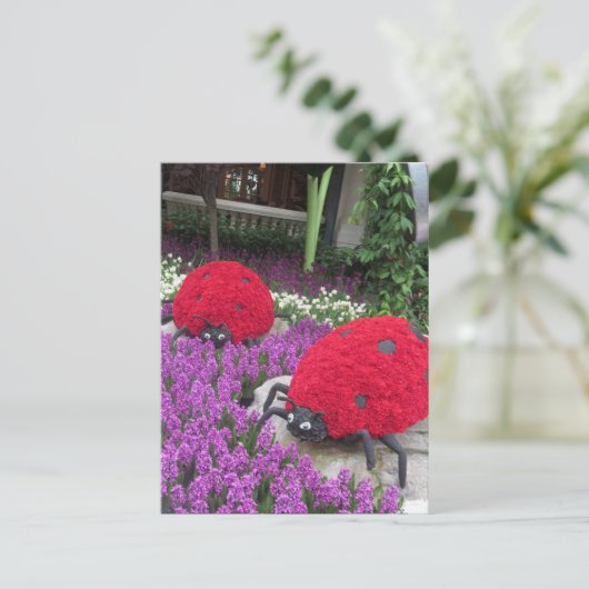 Las Vegas Butterfly Garden Flower lieveheersbeestj Briefkaart (Staand voorkant)