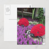 Las Vegas Butterfly Garden Flower lieveheersbeestj Briefkaart (Voorkant / Achterkant)