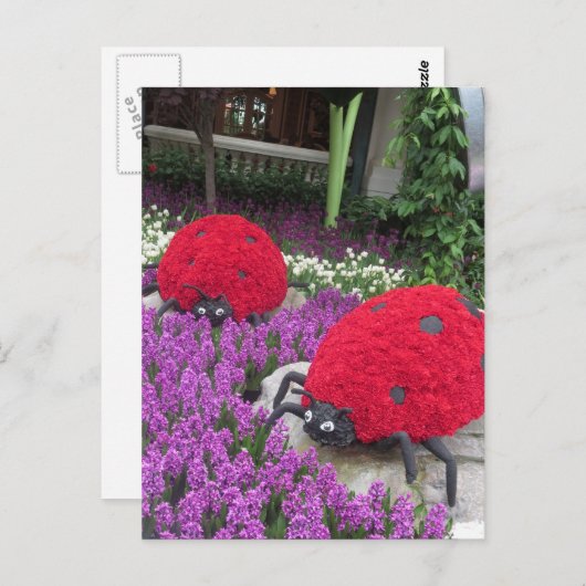 Las Vegas Butterfly Garden Flower lieveheersbeestj Briefkaart (Voorkant / Achterkant)