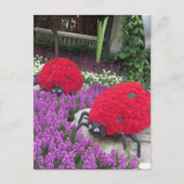 Las Vegas Butterfly Garden Flower lieveheersbeestj Briefkaart (Voorkant)