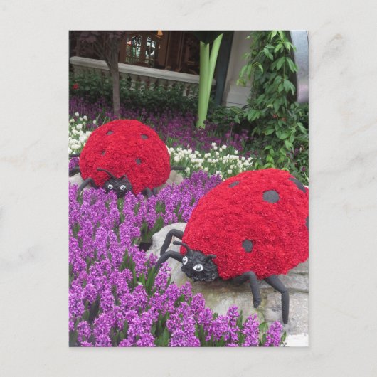 Las Vegas Butterfly Garden Flower lieveheersbeestj Briefkaart (Voorkant)