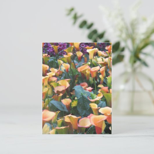 Las Vegas Butterfly Garden Flower lieveheersbeestj Briefkaart (Staand voorkant)