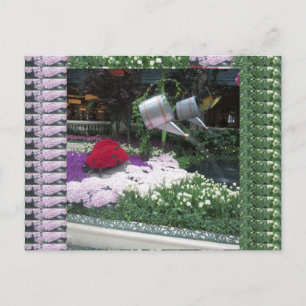 Las Vegas Butterfly Park LadyBugs Briefkaart