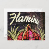 Las Vegas Flamingo Briefkaart (Voorkant / Achterkant)