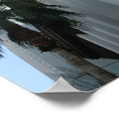 Las Vegas Poster (Hoek)