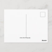 Las Vegas Skyline Briefkaart (Achterkant)