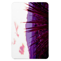 Las Vegas Skyline Residential Mountain Uitzicht #1