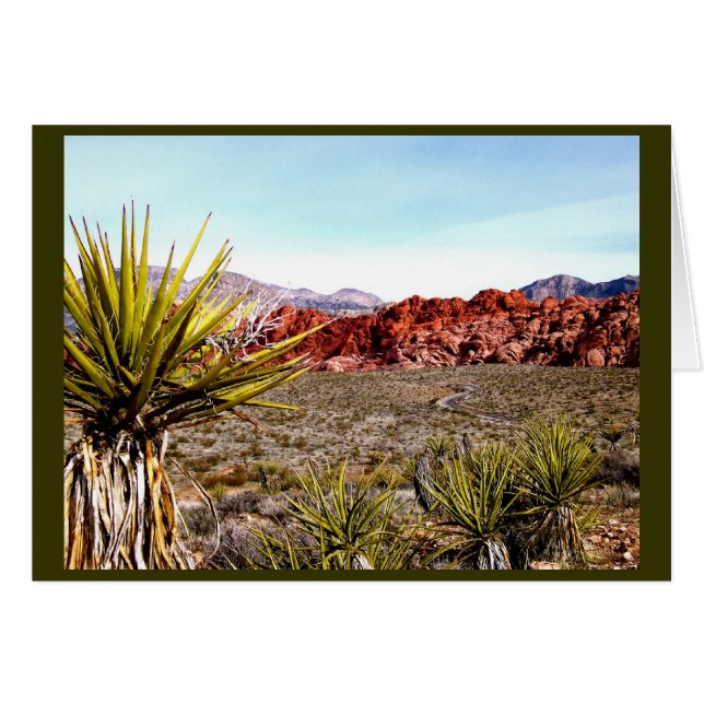 Las Vegas Tours: Red Rock Canyon (Voorkant Horizontaal)